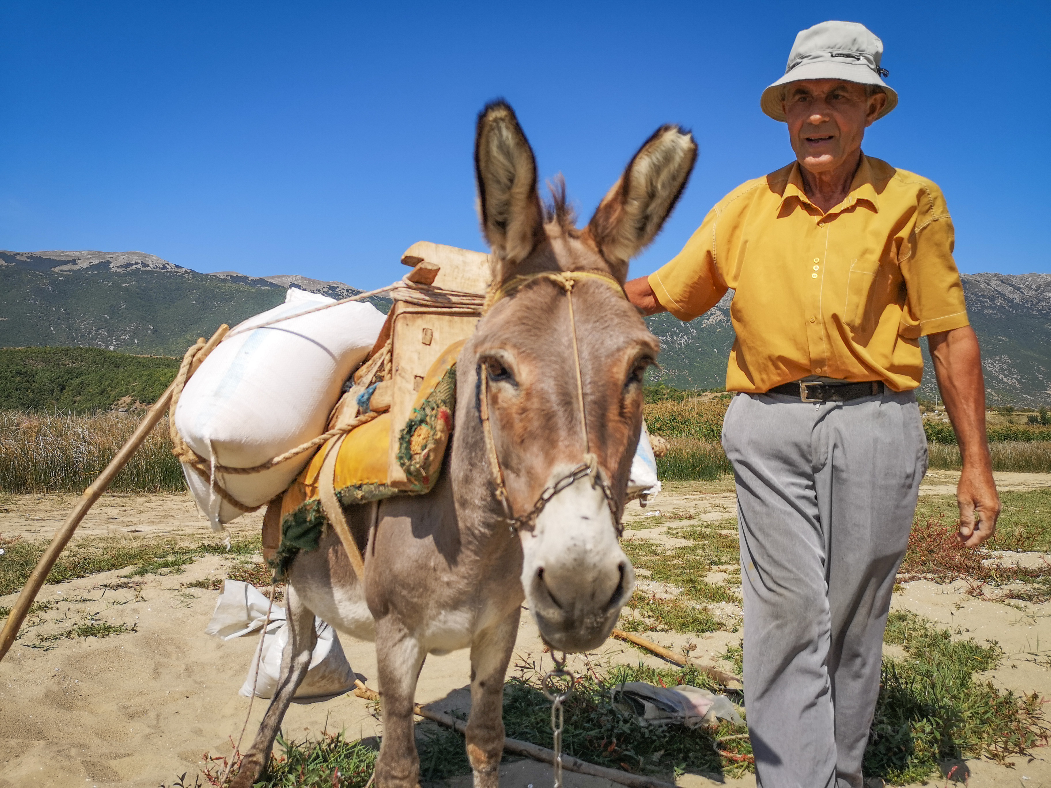 Nad jeziorem Prespa w Albanii, pan z osiołkiem, 
A man with a donkey, Albania